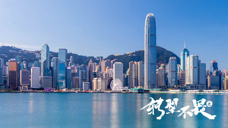 神州数码与华为：木棉和橡树